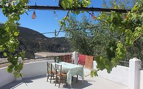 Casa Violeta